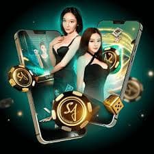 1777 app